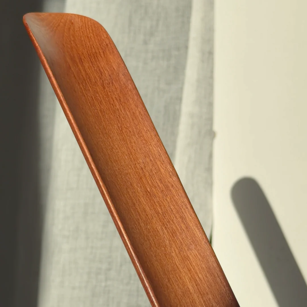 Magnetic Shoehorn